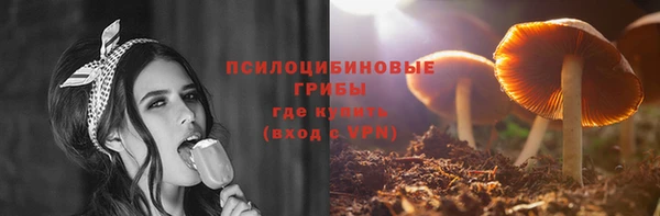 ешки Карпинск