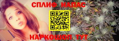 гидра Азнакаево